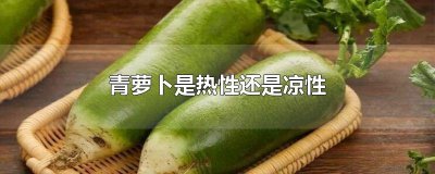 ​青萝卜是热性还是凉性