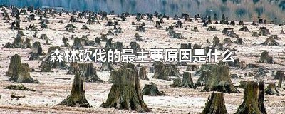 ​森林砍伐的最主要原因是什么