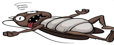 ​蟑螂可以直接打死吗