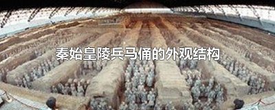 ​秦始皇陵兵马俑的外观结构
