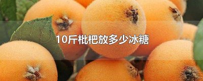 ​10斤枇杷放多少冰糖合适 10斤枇杷放多少冰糖好