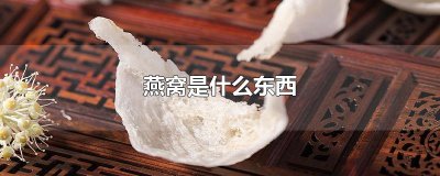​燕窝是什么东西