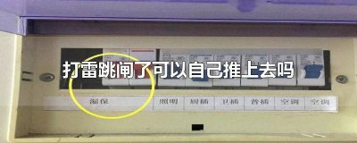 ​打雷跳闸了可以自己推上去吗安全吗 打雷后跳闸推不上去可以过一段时间推上去吗