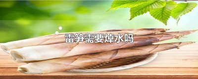 ​雷笋需要焯水吗