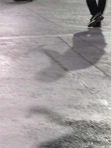 ​努力 | 其实就是想过成自己的样子