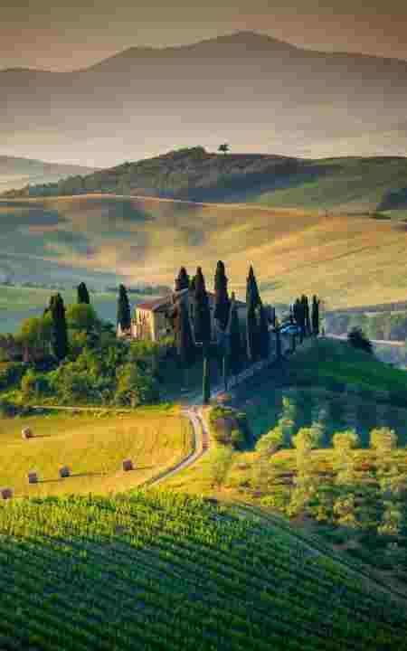 栗子生虫子还能吃,板栗买回来要晒吗图8