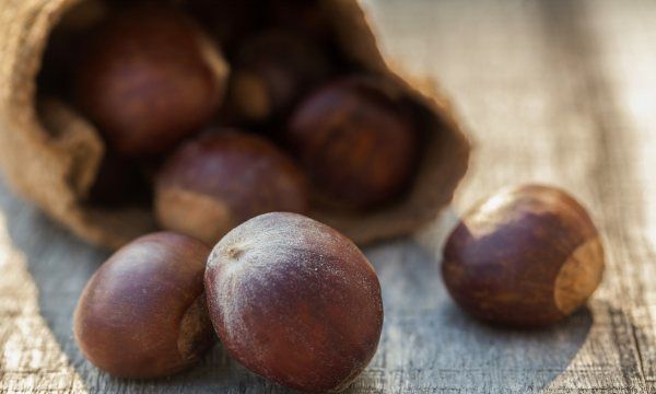 栗子生虫子还能吃,板栗买回来要晒吗图6