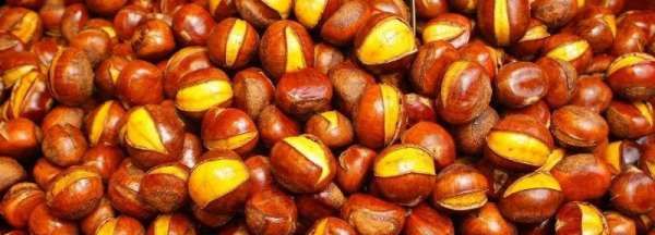 栗子生虫子还能吃,板栗买回来要晒吗图7