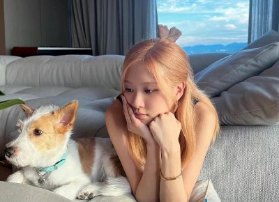 ​11月10日生的是什么星座?？11月13日是什么星座上升星座