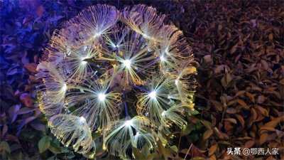 ​您知道吗，武汉有个地方叫中国光谷，请您欣赏