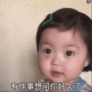 ​关于猪的整人套路表情包合集