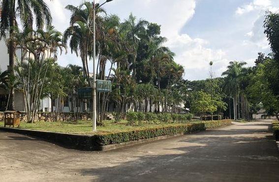 海南大学儋州(海南大学儋州校区多少人)