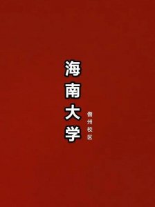 ​海南大学儋州（海南大学儋州校区多少人）