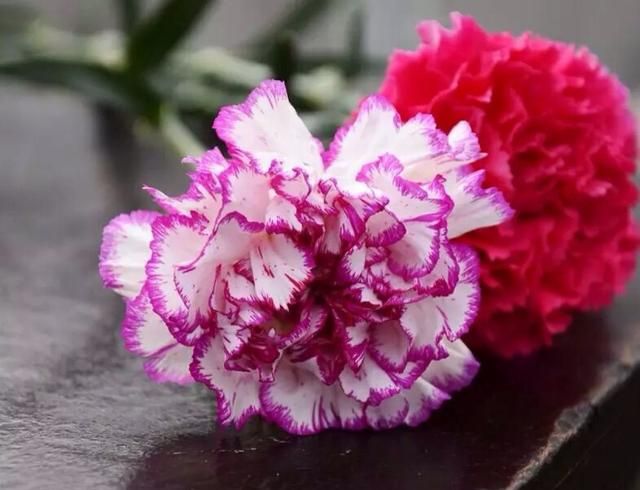 春节送礼的寓意都有哪些，春节送礼可以送哪些鲜花，都有什么寓意？图3