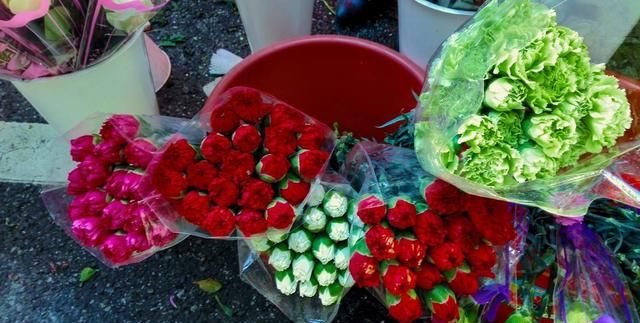 春节送礼的寓意都有哪些，春节送礼可以送哪些鲜花，都有什么寓意？图1