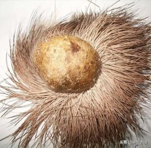 ​吴江高级中学(苏州8强高中最新排名公布)