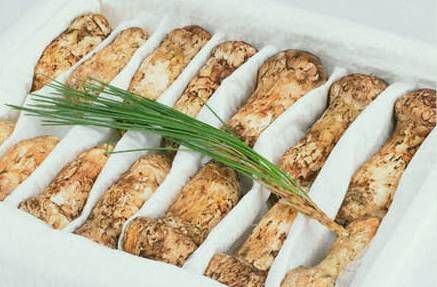 赤松茸怎么保存