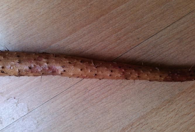 发紫的山药还能吃吗