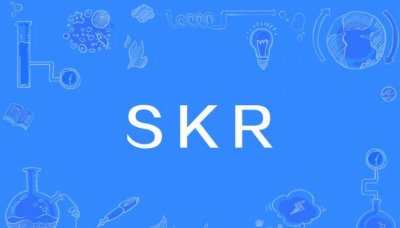 ​skr什么意思中文，script中文是什么意思？