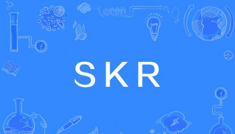 script中文是什么意思