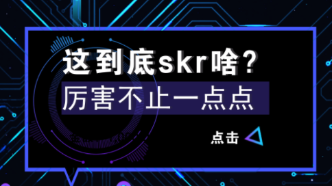 Description中文是什么意思