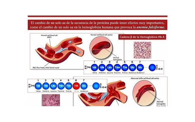 元旦吃什么食物(元旦吃什么食物最好) 元旦吃什么食物(元旦吃什么食物最好)