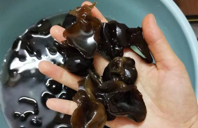 木耳泡开后可以放多久就不能吃了