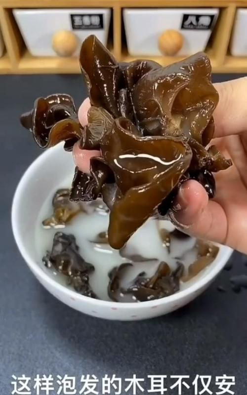 泡发完的木耳能放多长时间