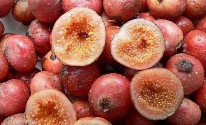 农村人最爱吃一种野果,好看又好吃,营养价值非常高,你见过吗?