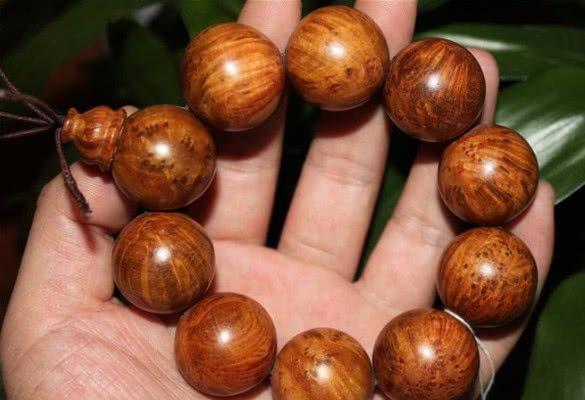 农村这种稀罕树，模样丑陋，却堪比玉石，一小块就能卖上千元