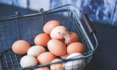 ​坐飞机能带鸡蛋上飞机,坐飞机能不能带生鸡蛋上飞机