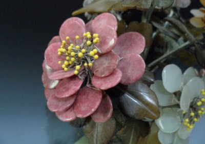 ​玉树花与家居风格的搭配-玉树花的风水学应用