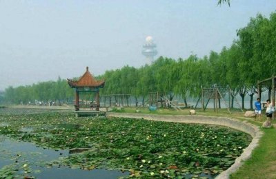 ​河南一“巨无霸”公园走红,占地1087亩,不输园博园门票仅30