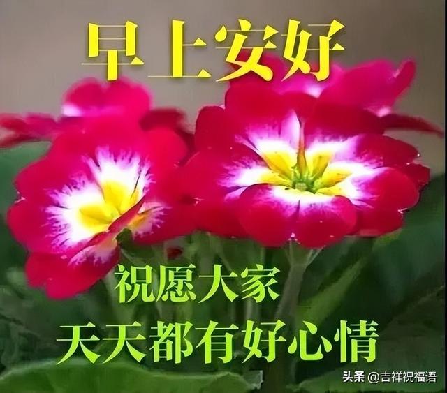 早安问候早上好的表情包（最新早上好表情包）(3)