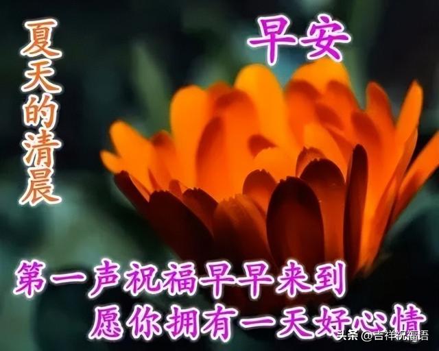 早安问候早上好的表情包（最新早上好表情包）(2)