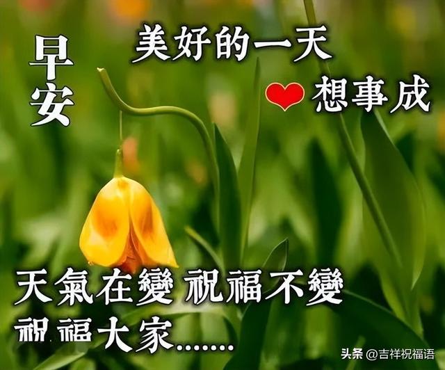 早安问候早上好的表情包（最新早上好表情包）(5)