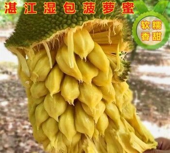 菠萝蜜直接吃还是要水泡一下吃