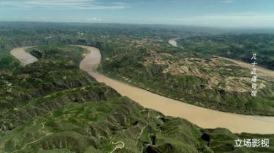 ​世界上最大的狼，基奈半岛狼肩高达1米，因人类捕杀而灭绝