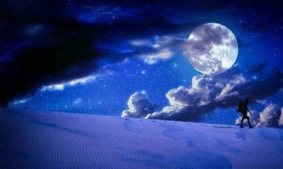 ​地球上最美的隧道 乌克兰爱的隧道成为情侣约