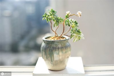 ​乔迁送什么礼物最合适（你还在愁送啥乔迁礼吗？不如考虑一下这10件···）