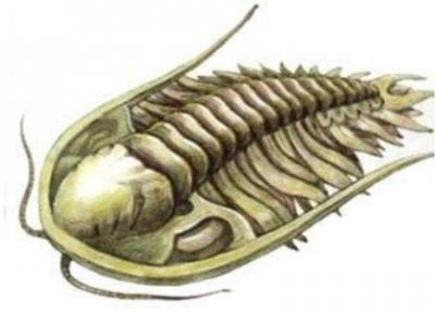 ​哈利法塔是迪拜最高楼 也是世界第一高楼高