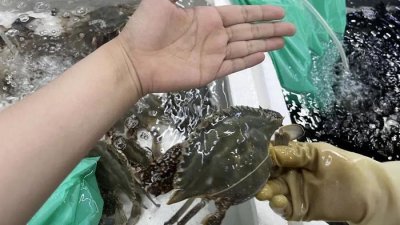 ​价格暴涨3成！杭州人爱吃的美味，刚刚上市！