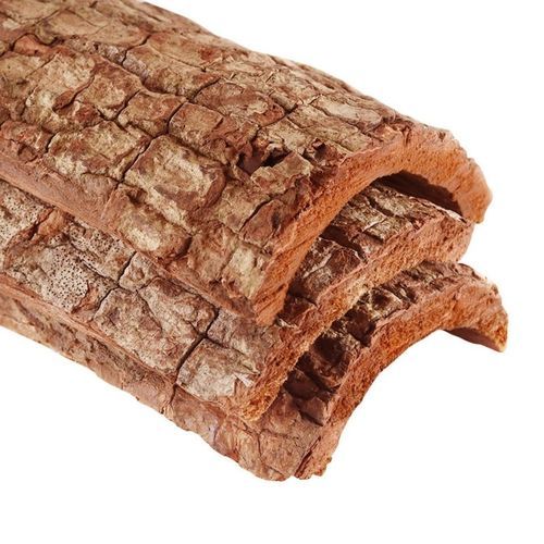 卡宾达树皮的功效与作用(卡宾达树皮真有壮阳的效果吗)-第1张图片-