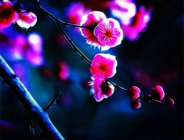 十首《一剪梅》:才下眉头,却上心头