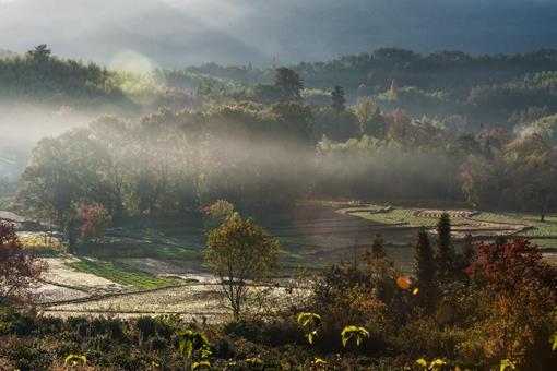 如何用古诗词形容秋景