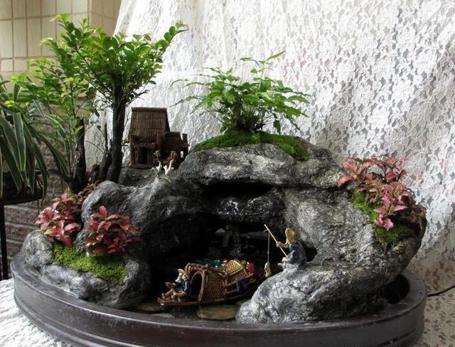 这种盆景高端大气、上档次，家里栽1盆，寓意美好，韵味十足