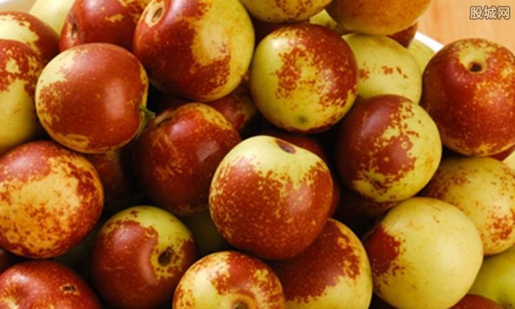 冬枣在什么时候成熟