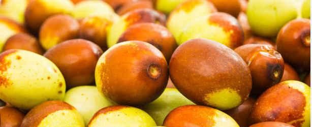 冬枣是什么季节的水果,冬枣属于凉性还是热性