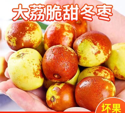 冬枣是什么季节的水果,冬枣属于凉性还是热性