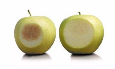 ​转基因苹果是福是祸，它到底能改变什么？